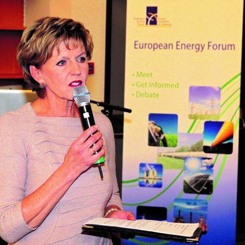 Vaidere ievēlēta par Eiropas Enerģētikas foruma finanšu direktori